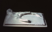 marble sculpture of bones